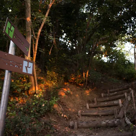 Lattanzi Marina Palmense