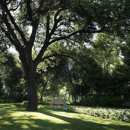 Lattanzi Marina Palmense