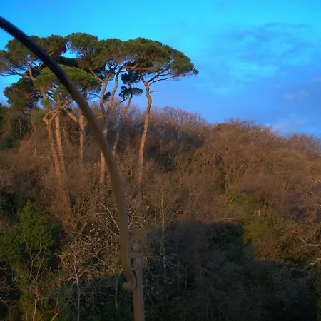 Hotel Lattanzi Marina Palmense