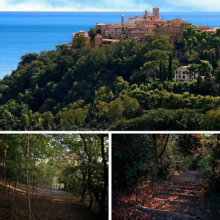 Lattanzi Marina Palmense